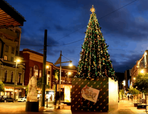 Christmas is coming to Wellington